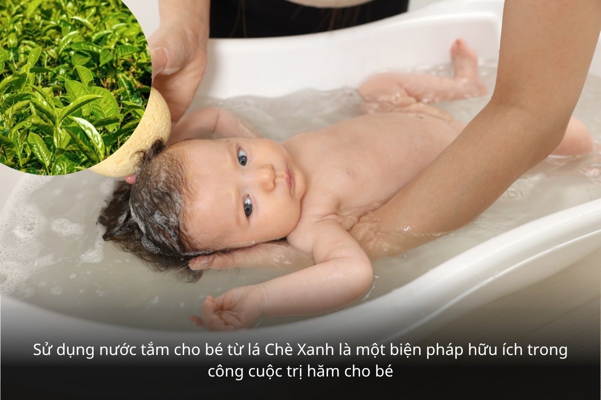 Trị hăm da bằng lá chè xanh