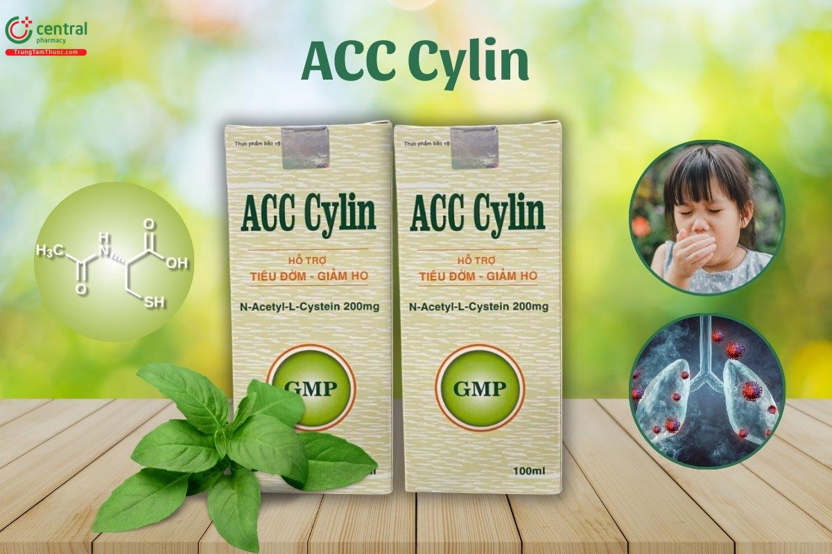 ACC Cylin hỗ trợ bảo vệ hệ thống hô hấp, đặc biệt trong các trường hợp liên quan đến viêm phế quản và viêm phổi.