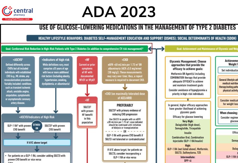 Thay đổi hướng dẫn điều trị đái tháo đường tuyp 2 của ADA năm 2023