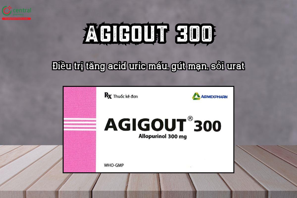 Thuốc Agigout 300mg Điều trị tăng acid uric máu, gút mạn, sỏi urat