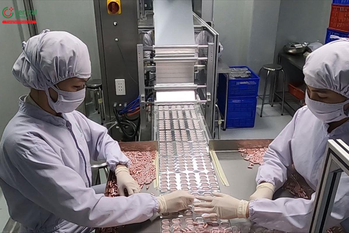 Nhân viên làm việc tại ATM PHARMA