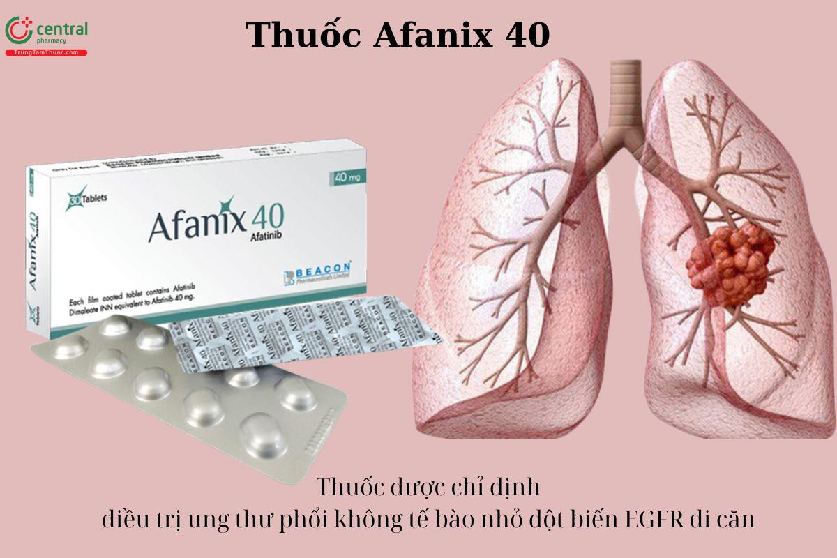 Chỉ định của thuốc Afanix 40