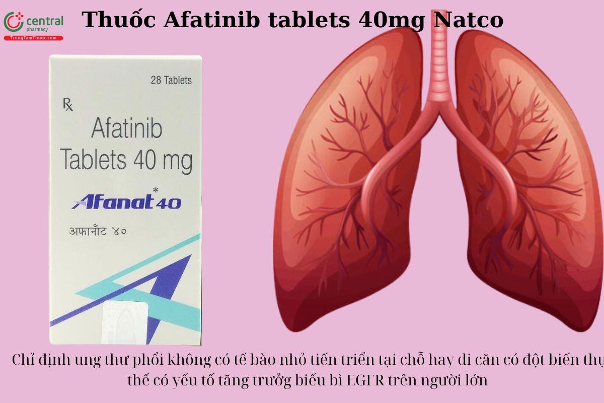 Chỉ định của thuốc Afatinib tablets 40mg