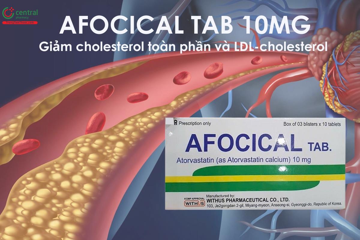 Thuốc Afocical Tab 10mg - giảm cholesterol toàn phần và LDL-cholesterol 