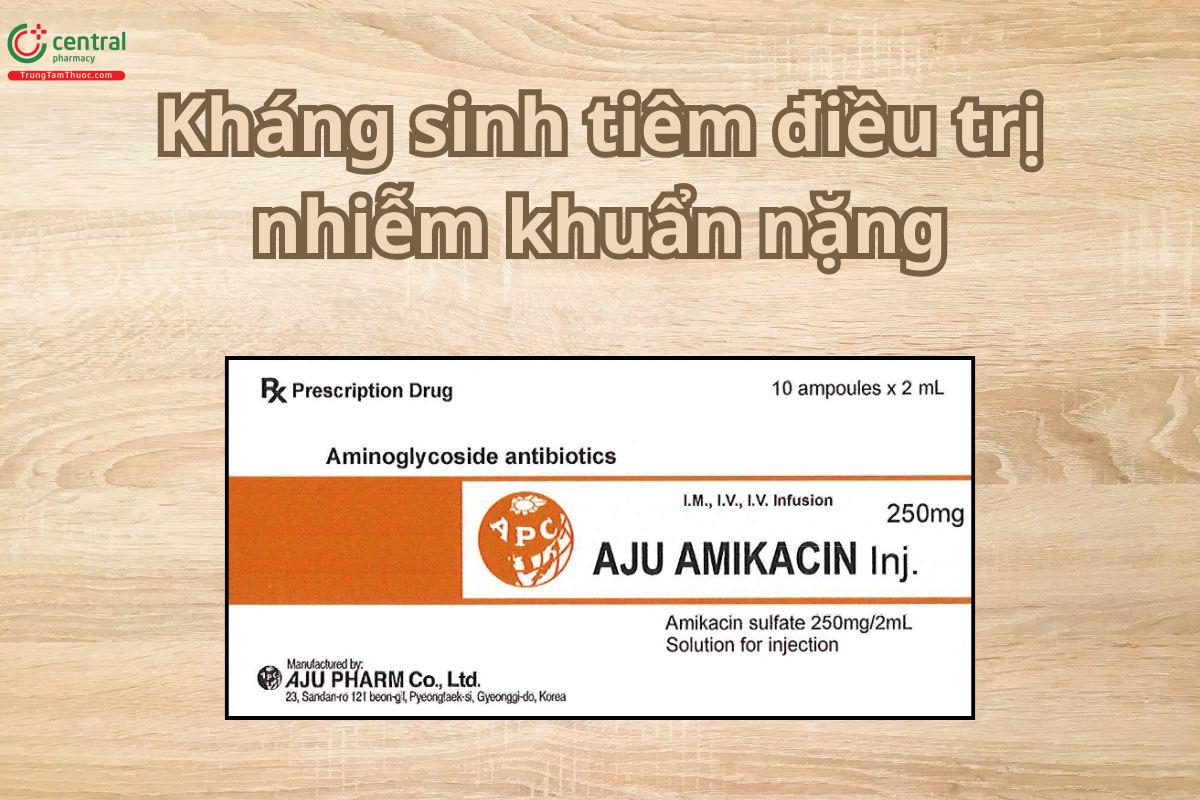 Thuốc Aju Amikacin Injection 250mg điều trị nhiễm khuẩn nặng