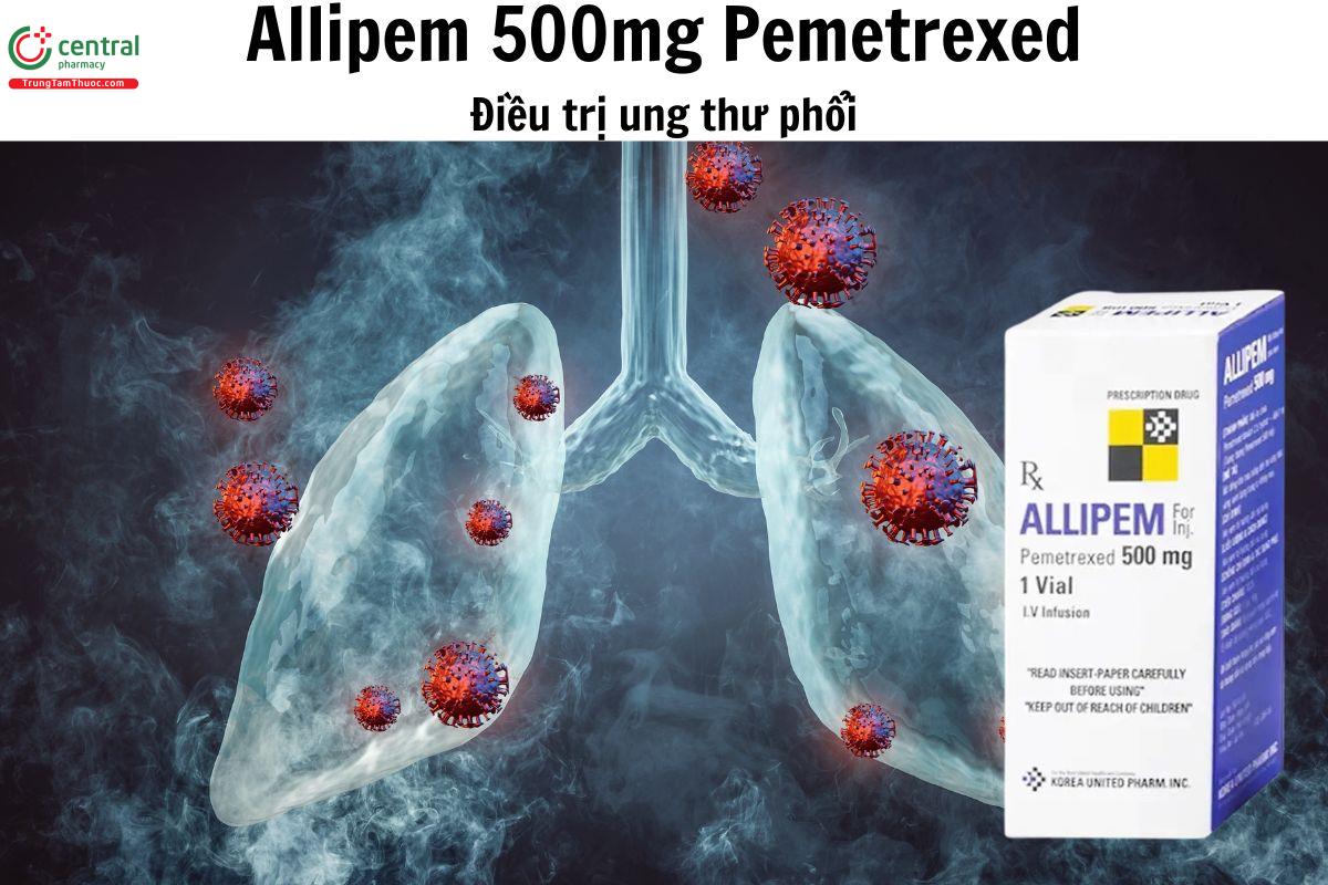 Chỉ định của Allipem 500mg