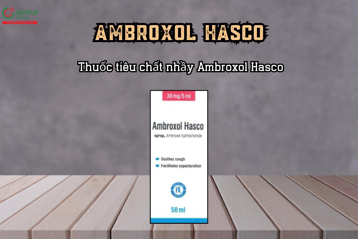 Thuốc tiêu chất nhầy Ambroxol Hasco