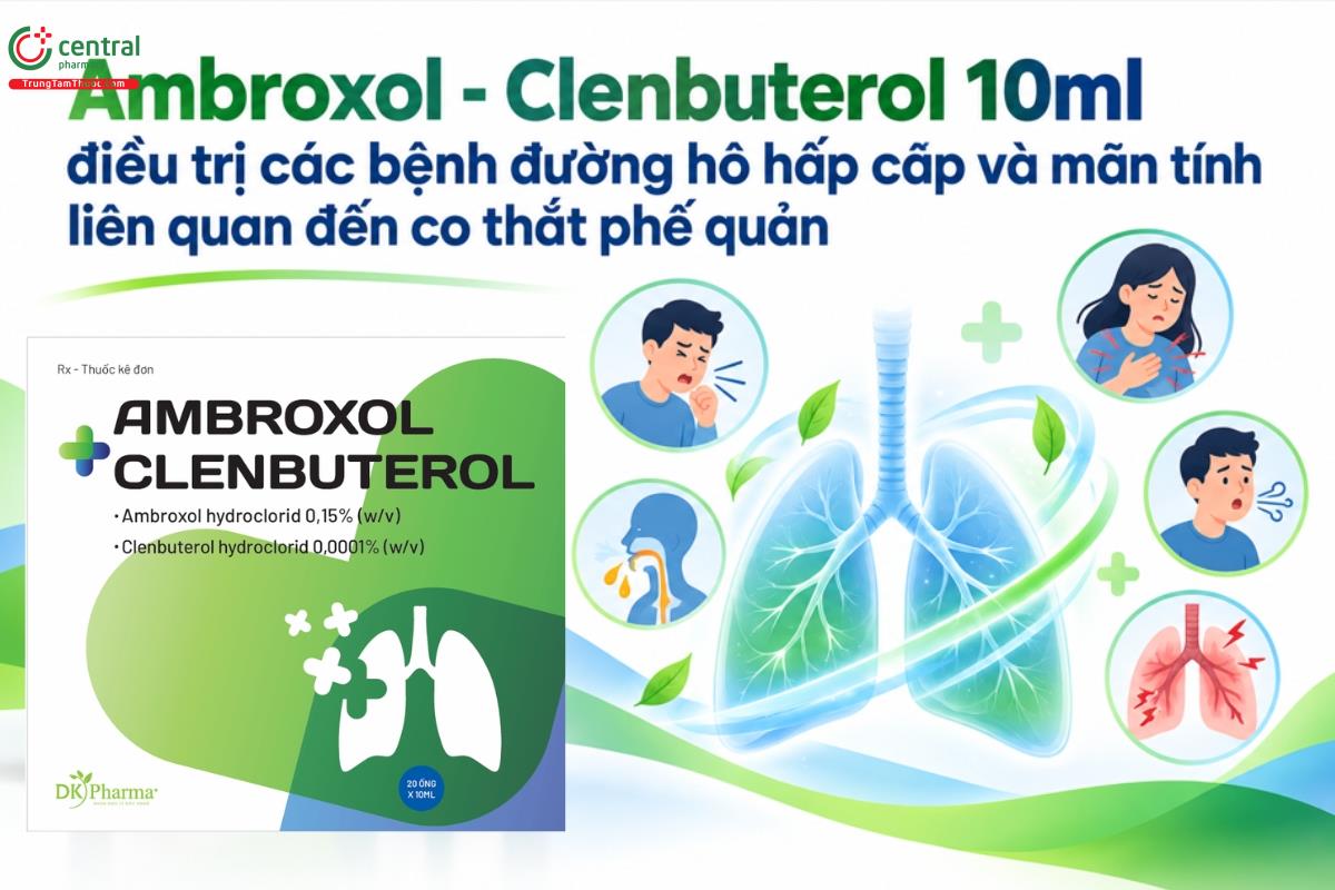 Thuốc Ambroxol - Clenbuterol 10ml điều trị các bệnh đường hô hấp cấp và mãn tính liên quan đến co thắt phế quản