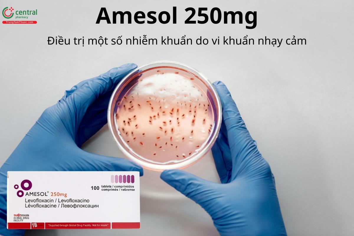 Thuốc Amesol 250mg điều trị một số nhiễm khuẩn do vi khuẩn nhạy cảm