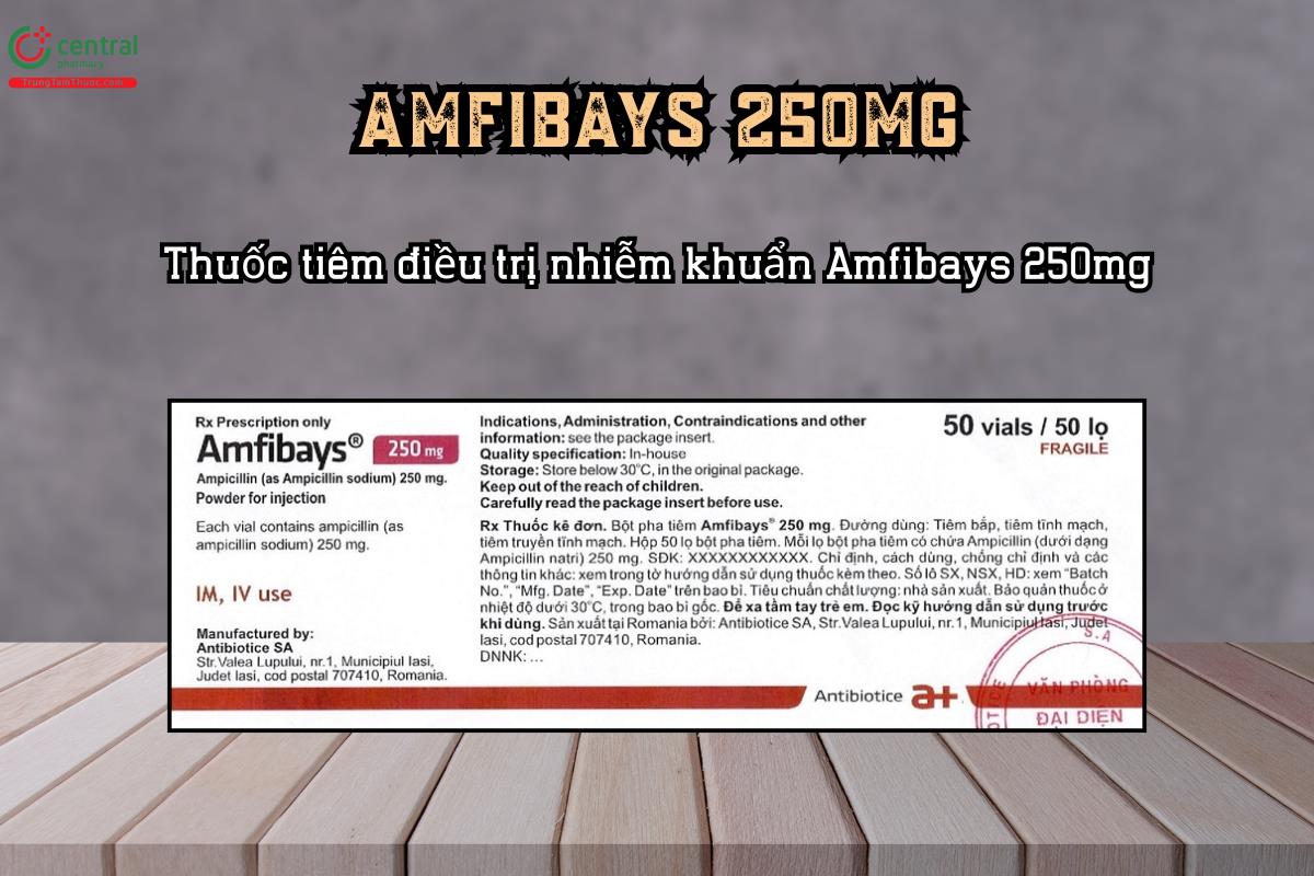 Thuốc tiêm điều trị nhiễm khuẩn Amfibays 250mg