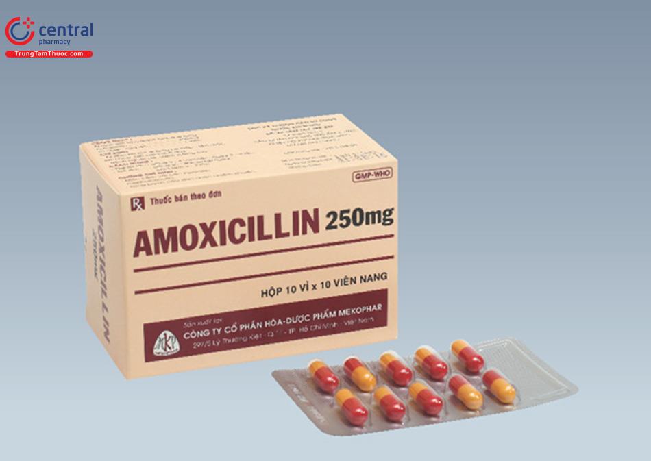 Hình ảnh Amoxicillin 250mg Mekophar
