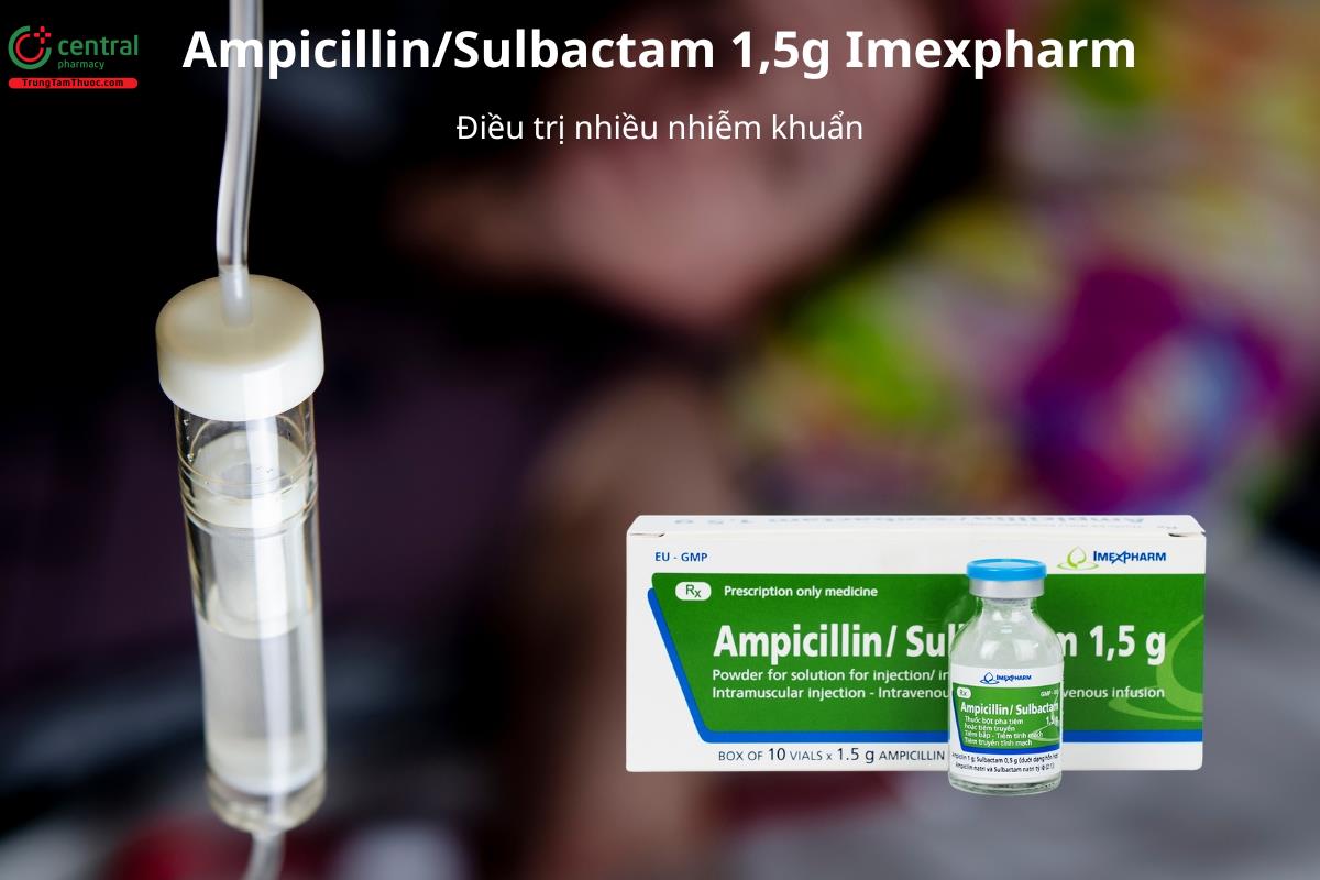 Ampicillin/Sulbactam 1,5g Imexpharm điều trị nhiều nhiễm khuẩn