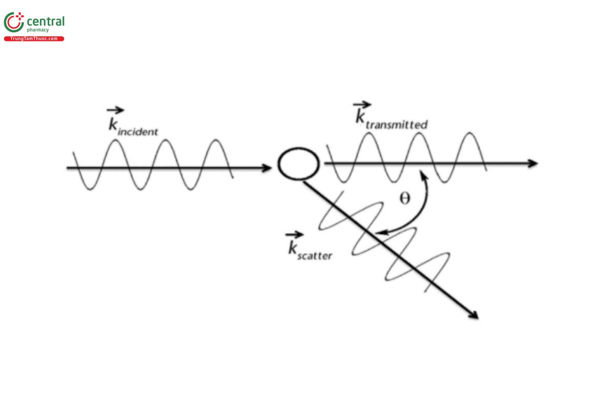 Figure 1. Scattering of light at an angle Θ.