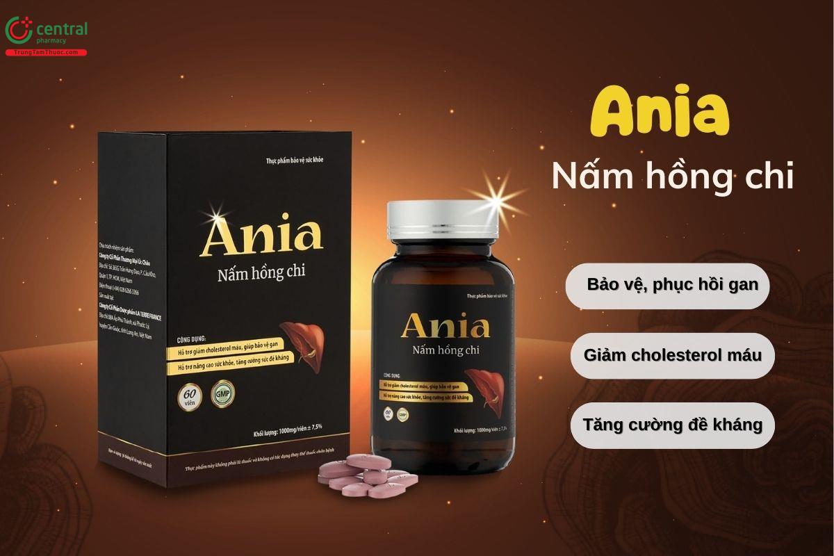 Ania Nấm hồng chi - giảm cholesterol máu, bảo vệ gan, tăng đề kháng