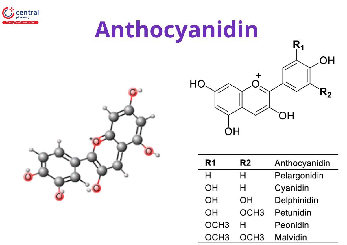 Anthocyanidin