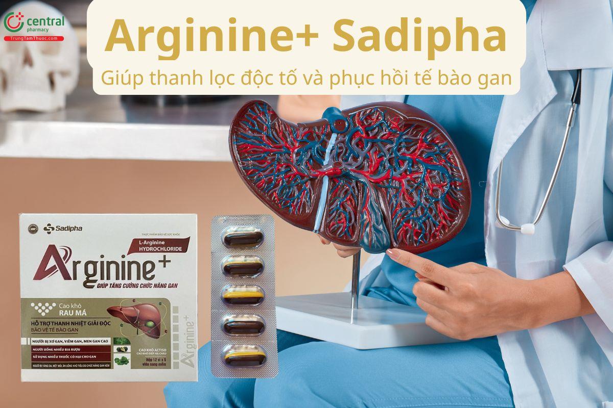 Arginine+ Sadipha giúp thanh lọc độc tố và phục hồi tế bào gan