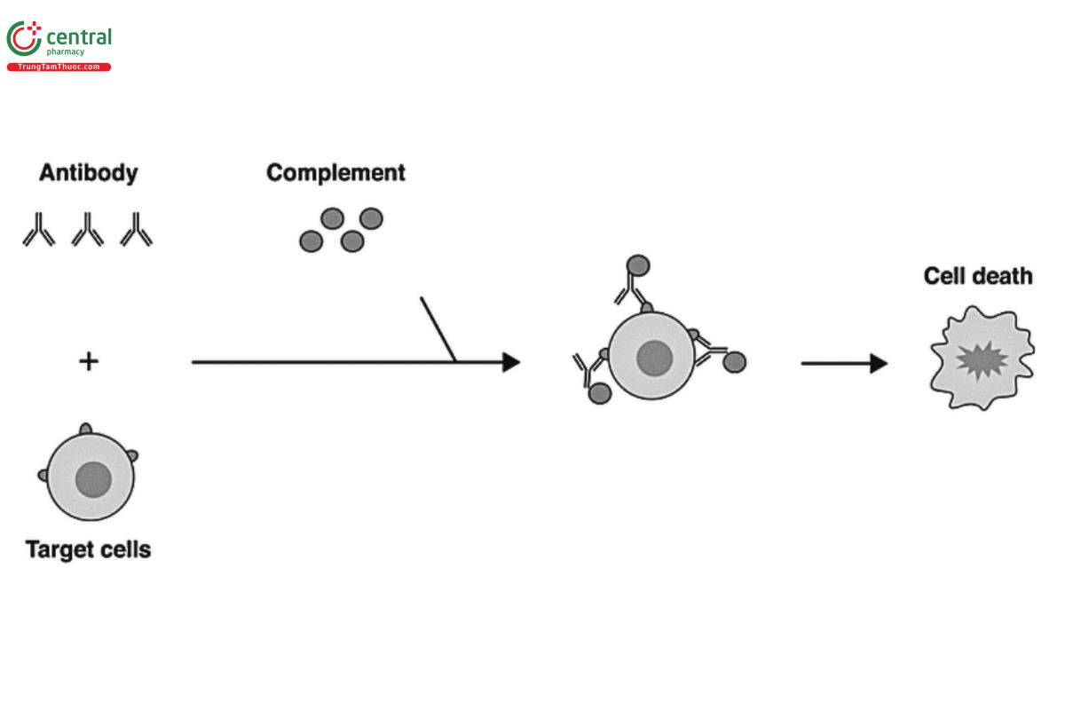 Figure 3. CDC assay.