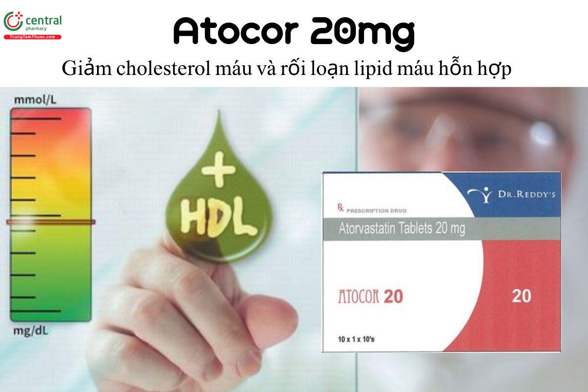 Thuốc Atocor 20mg - Giảm cholesterol máu và rối loạn lipid máu hỗn hợp