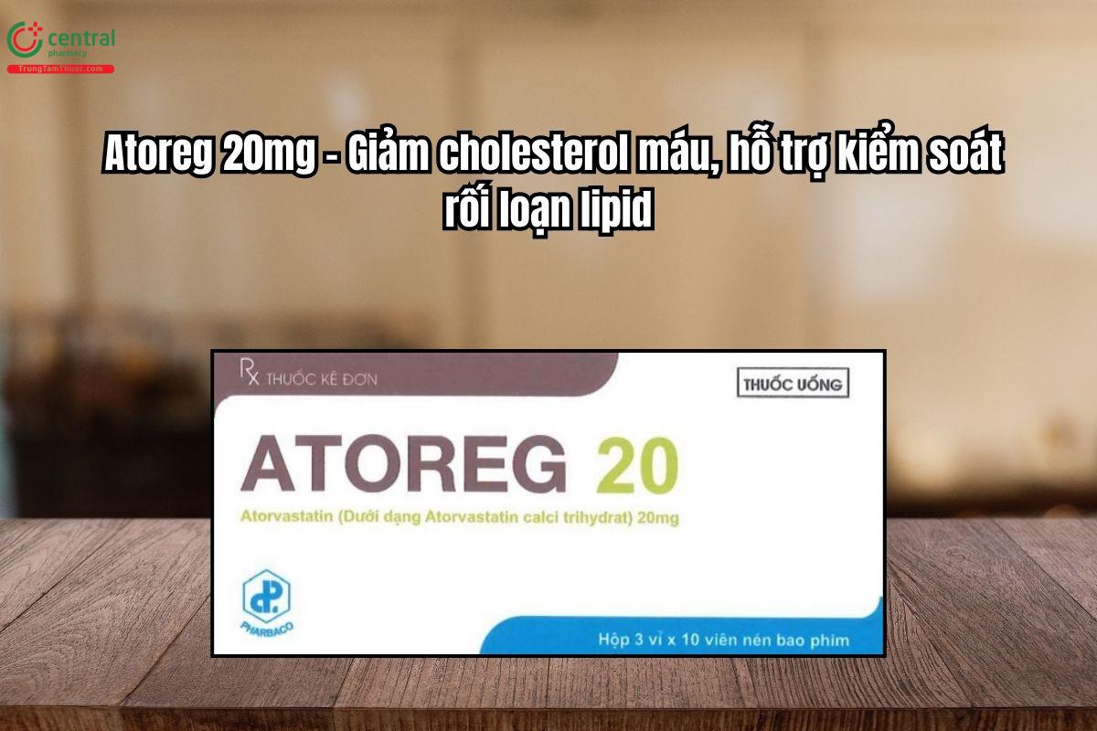 Thuốc Atoreg 20mg – Giảm cholesterol máu, kiểm soát rối loạn lipid