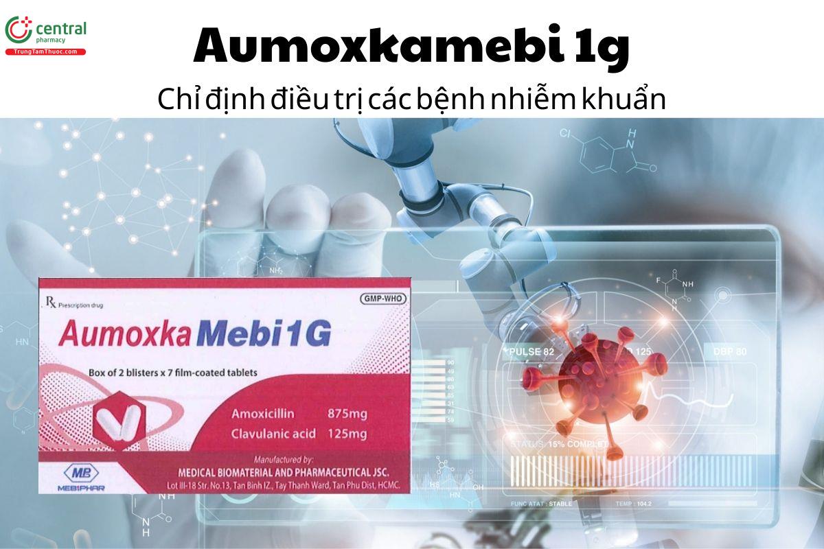 Thuốc Aumoxkamebi 1g - Chỉ định điều trị các bệnh nhiễm khuẩn