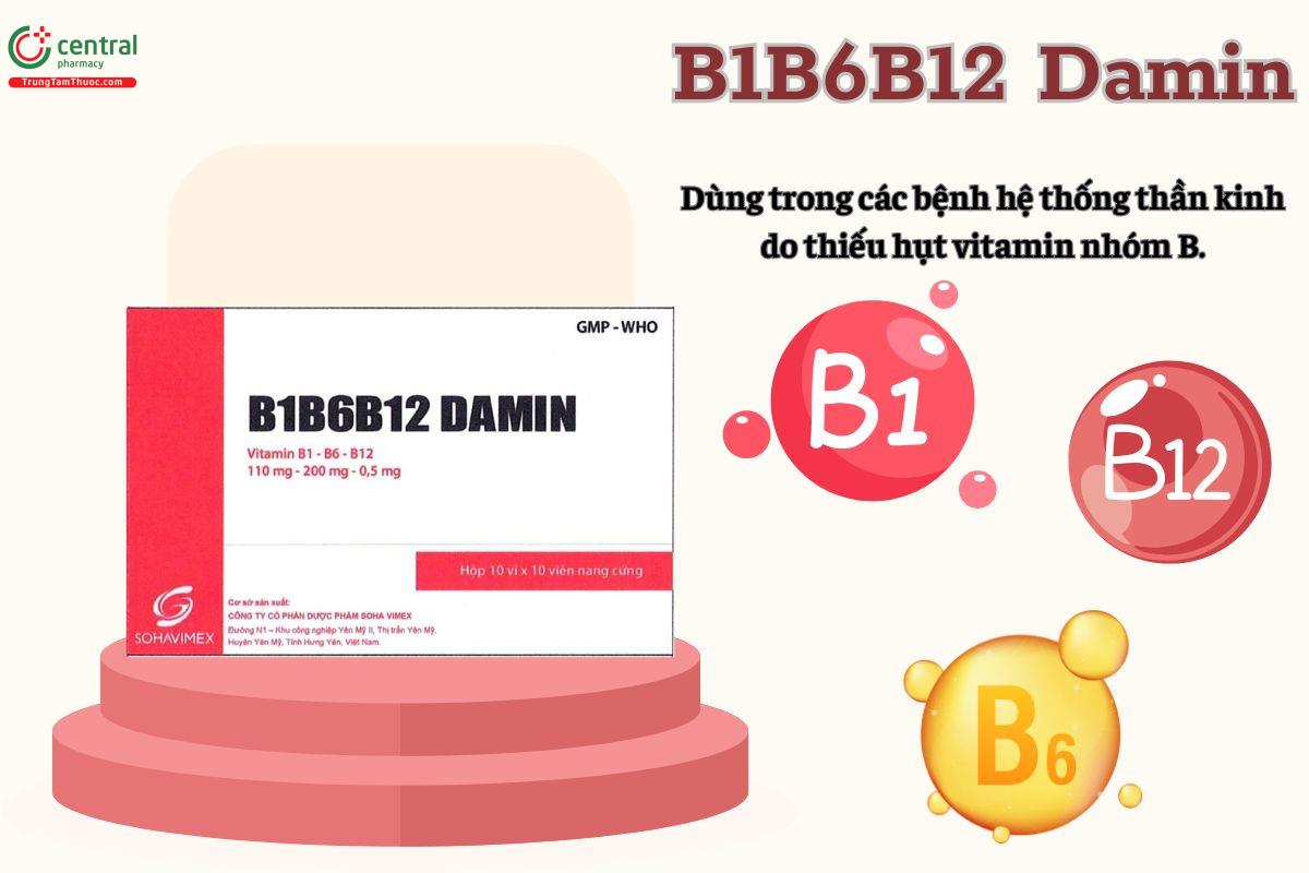 B1B6B12 Damin trị bệnh gì?