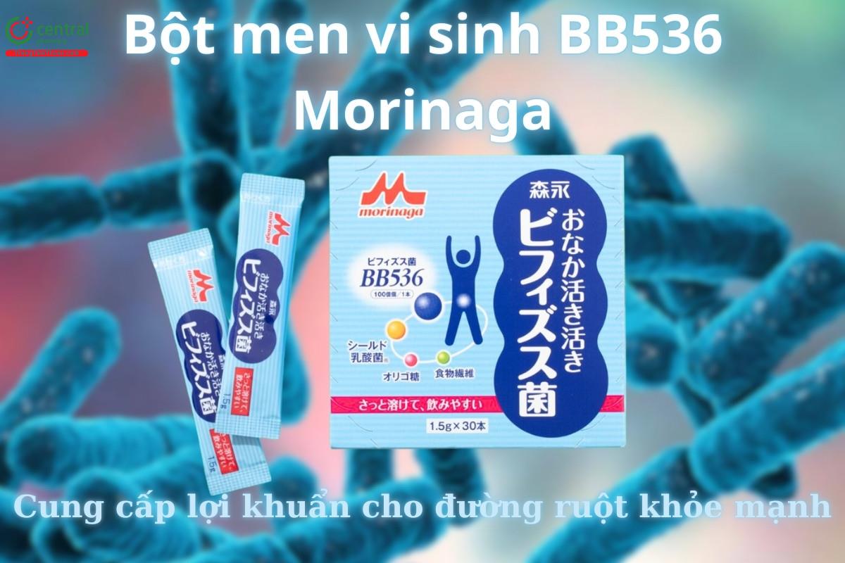 Bột men vi sinh BB536