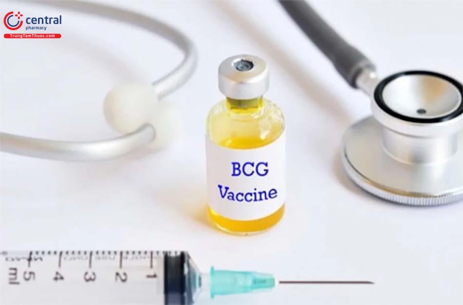 Vacxin phòng lao BCG là vacxin sống, giảm độc lực