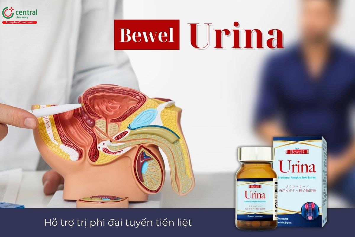 Bewel Urina có thành phần chính từ bột quả nam việt quất và chiết xuất hạt bí ngô, có tác dụng hỗ trợ tốt cho tuyến tiền liệt