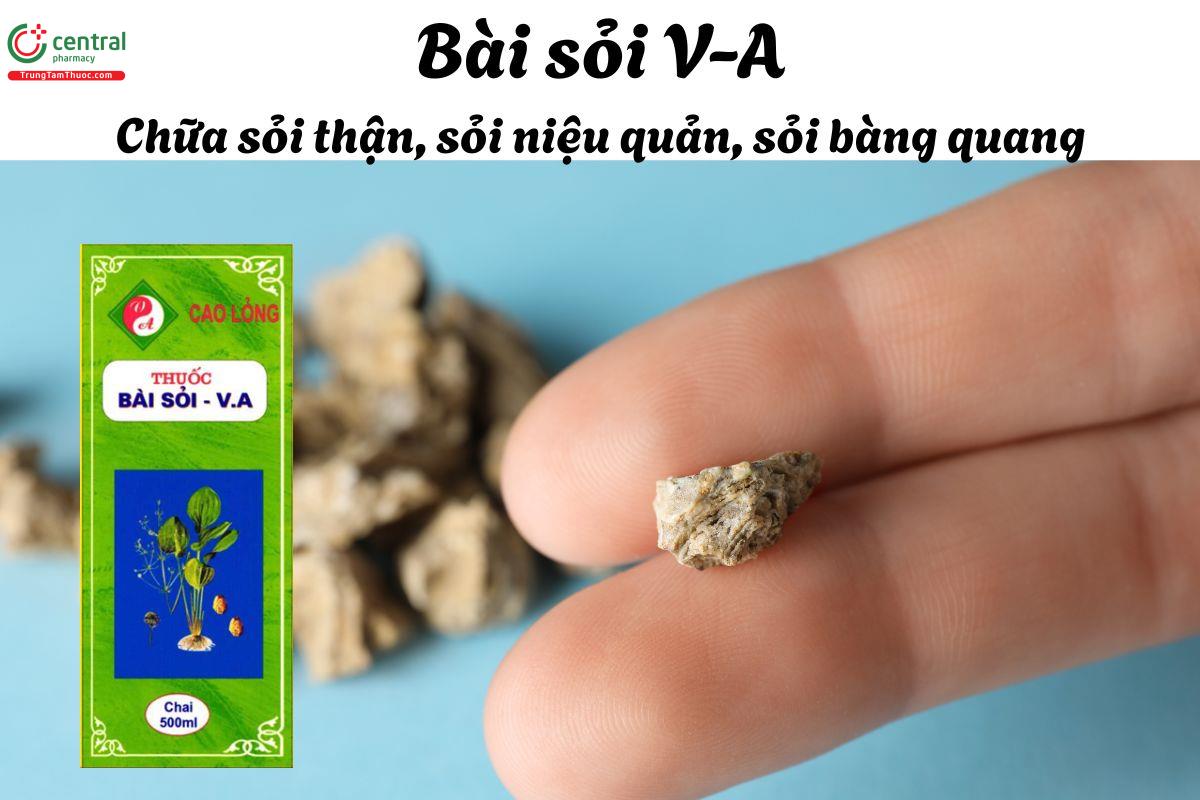 Thuốc Bài sỏi V-A - Điều trị sỏi thận, sỏi niệu quản, sỏi bàng quang