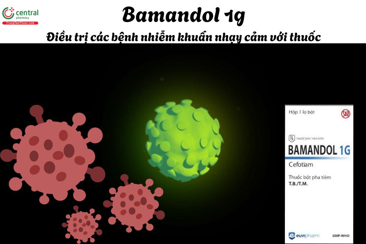 Thuốc Bamandol 1g - Điều trị các nhiễm khuẩn đường hô hấp dưới
