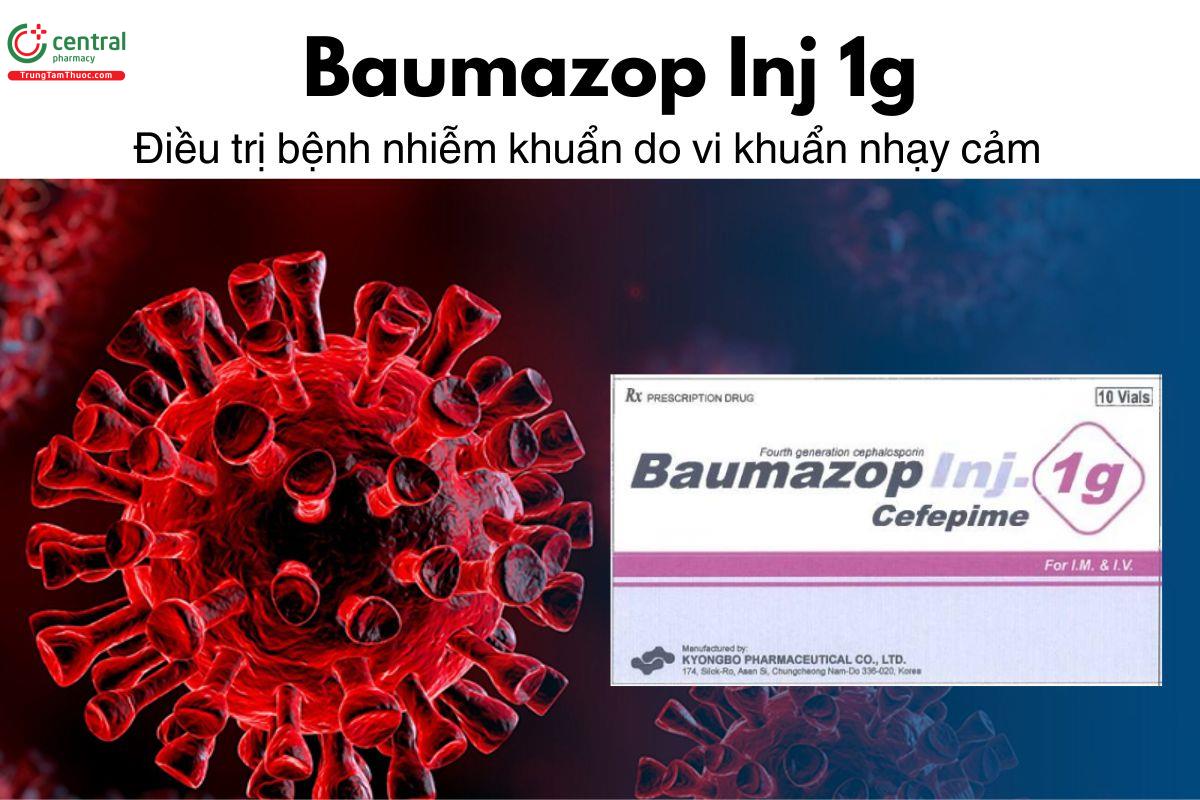 Thuốc Baumazop Inj 1g - Điều trị bệnh nhiễm khuẩn do vi khuẩn nhạy cảm