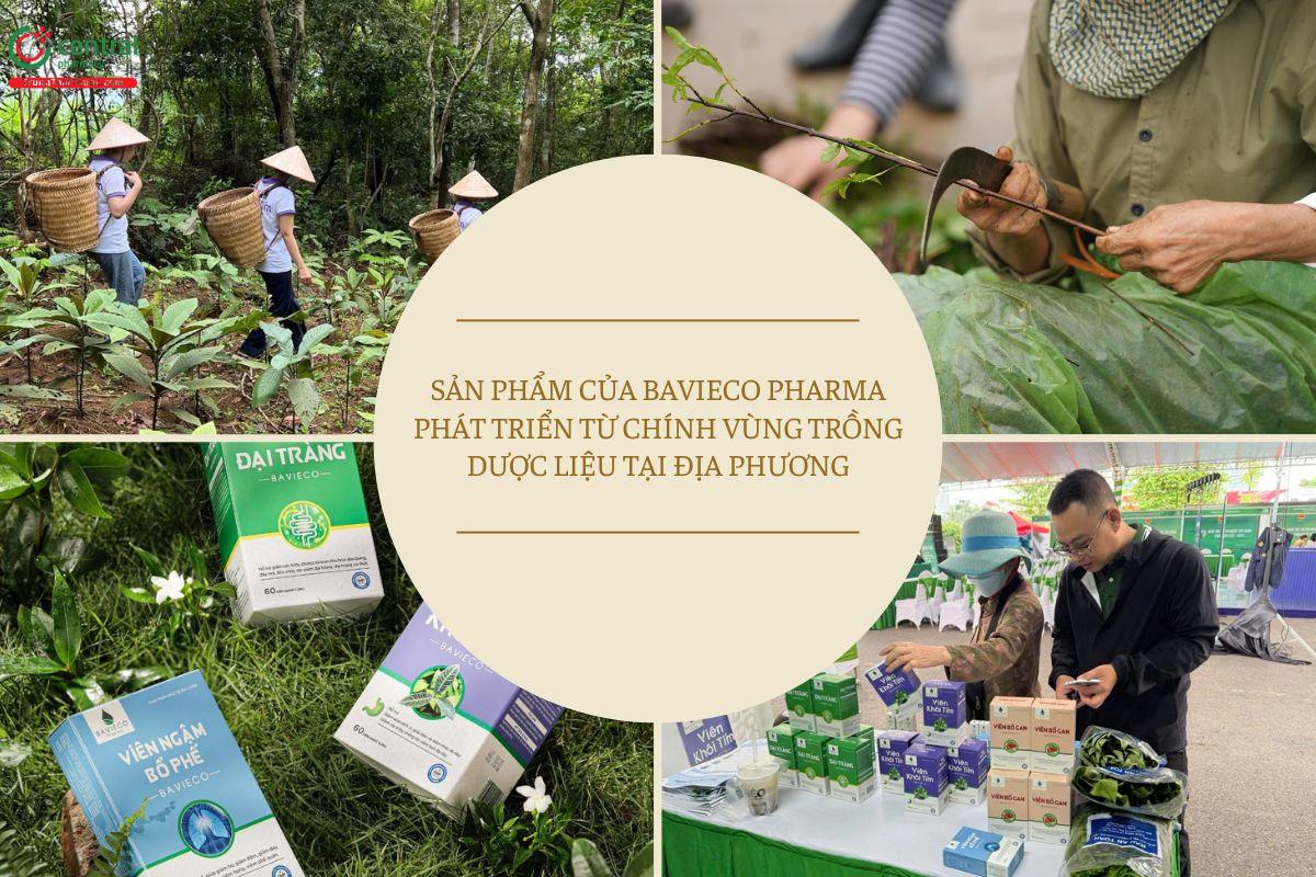 Sản phẩm của Bavieco Pharma phát triển từ chính vùng trồng dược liệu của công ty