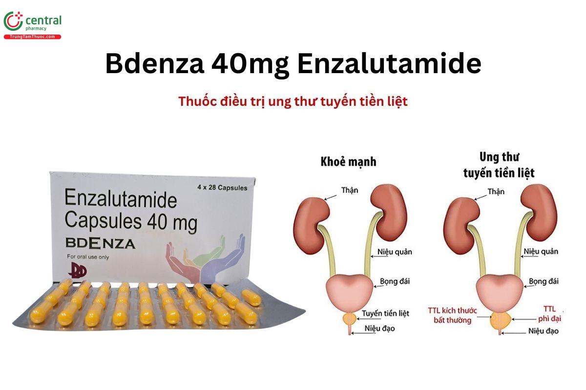 Thuốc Bdenza 40mg Enzalutamide capsules điều trị ung thư tuyến tiền liệt