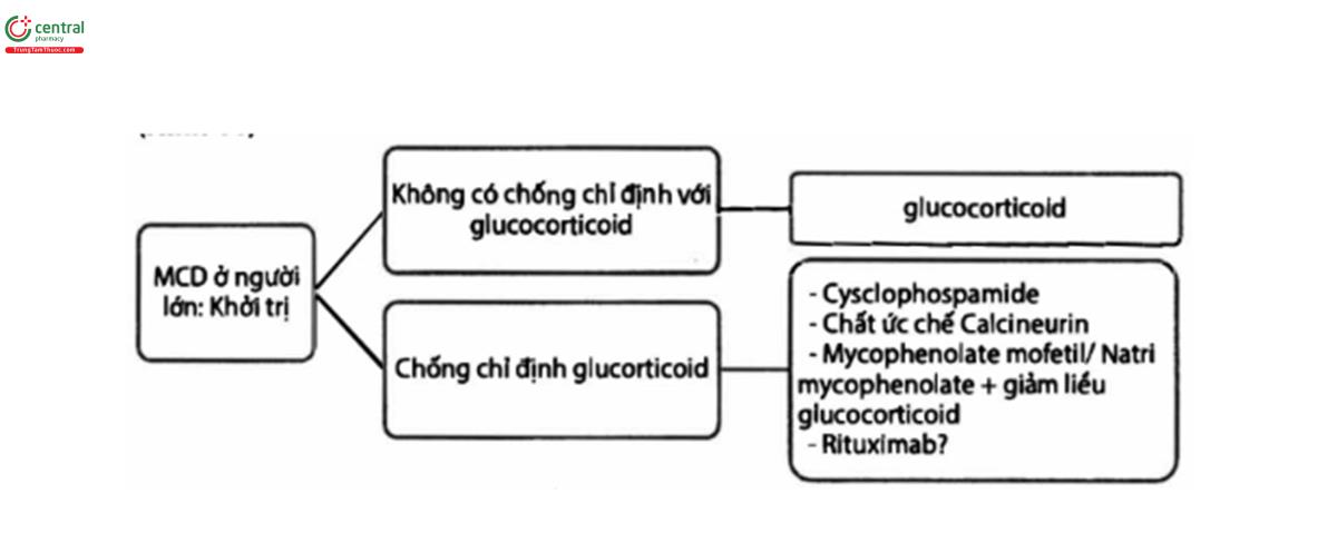 Hình 11. Khởi trị MCD ở người lớn.