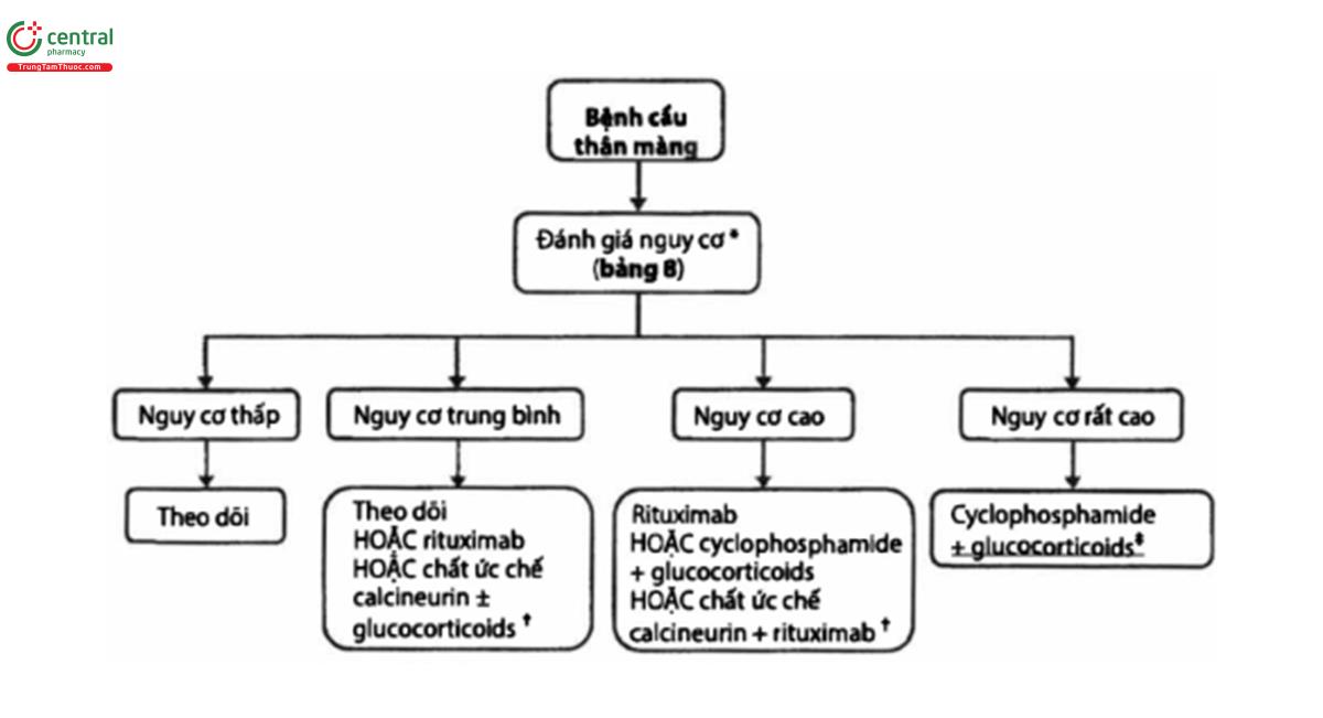 Hình 4. Điều trị bệnh thận màng dựa trên nguy cơ.