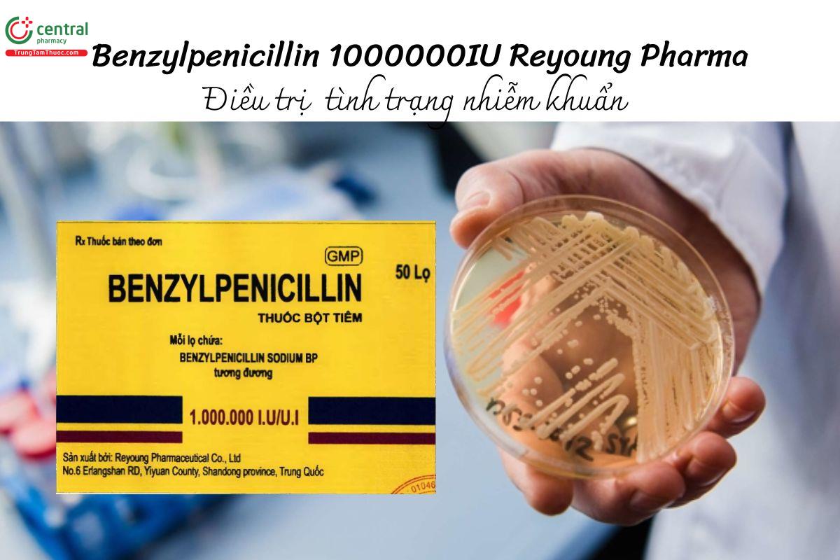 Thuốc Benzylpenicillin 1000000IU Reyoung Pharma điều trị nhiễm khuẩn