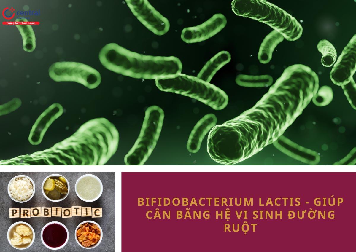 Bifidobacterium Lactis - giúp cân bằng hệ vi sinh đường ruột