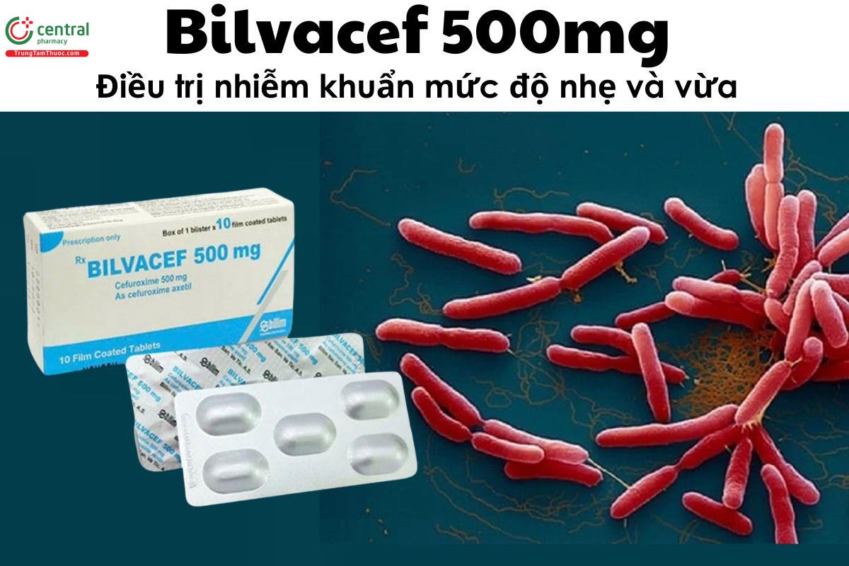 Thuốc Bilvacef 500mg - điều trị nhiễm khuẩn mức độ nhẹ và vừa