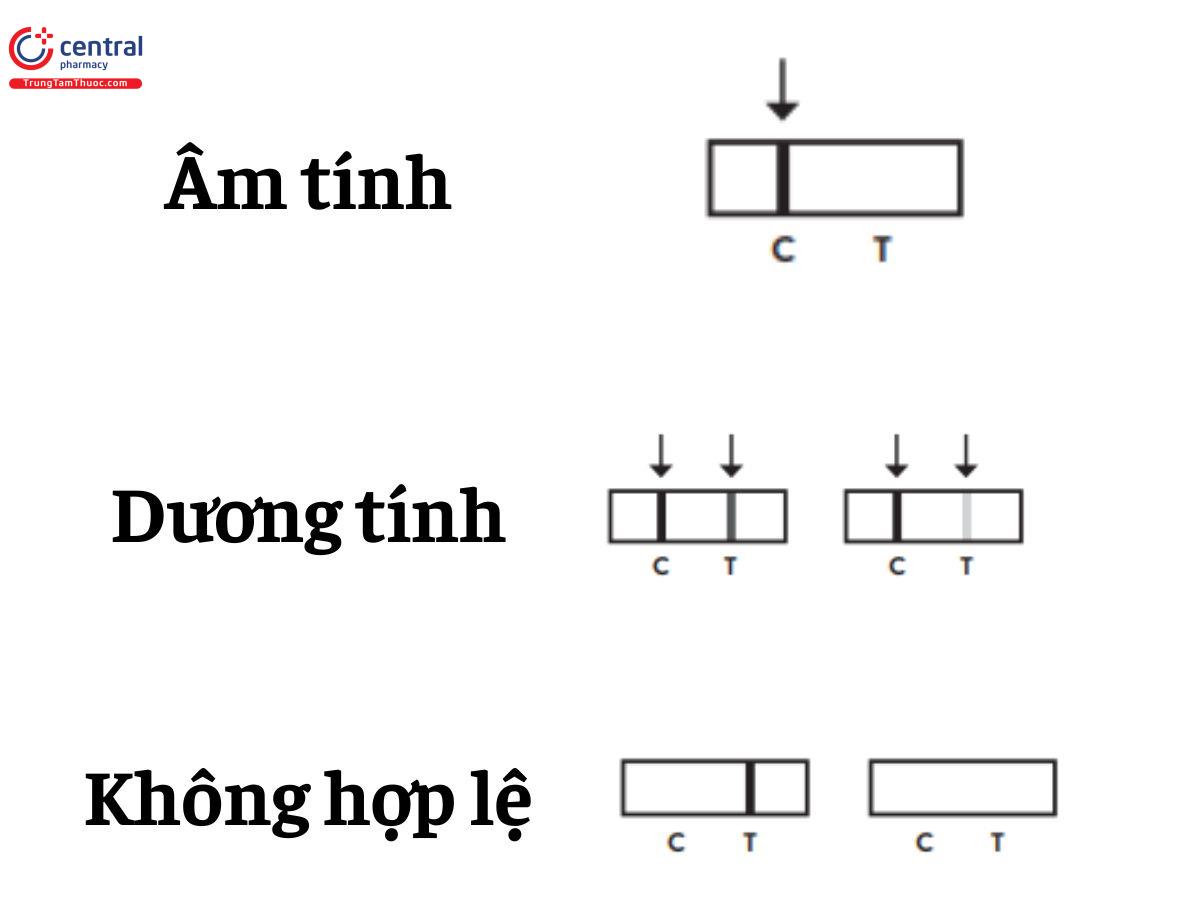 Cách đọc kết quả Kit test Dengue NS1 Ag