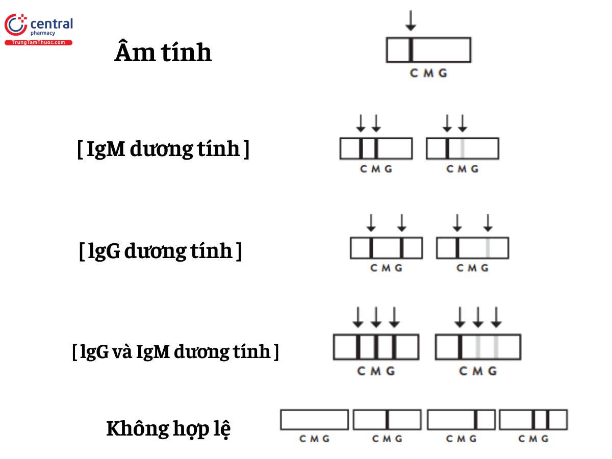 Đối với Kit test Dengue IgG/IgM