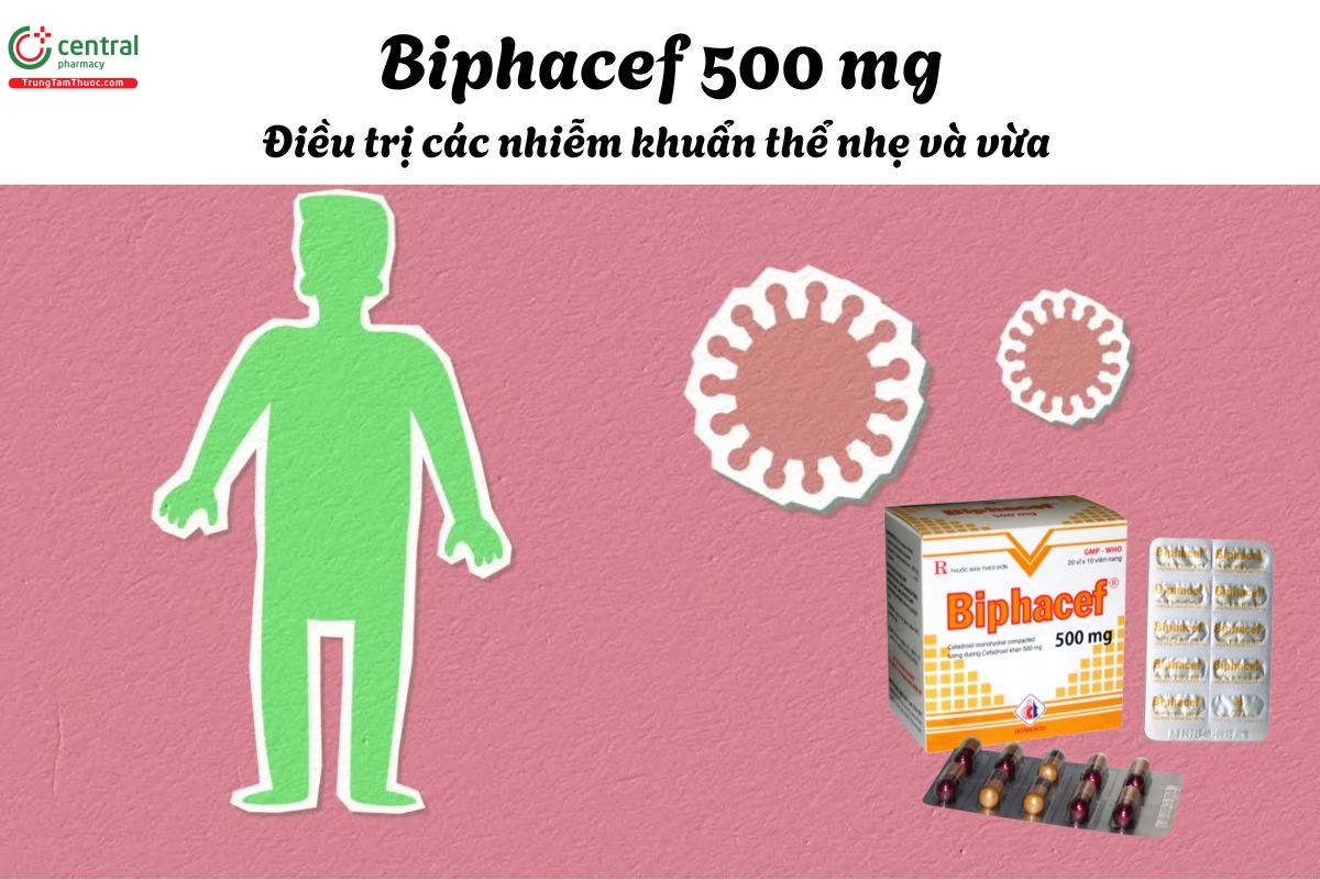 Thuốc Biphacef 500mg - Điều trị nhiễm khuẩn do vi khuẩn nhạy cảm với thuốc