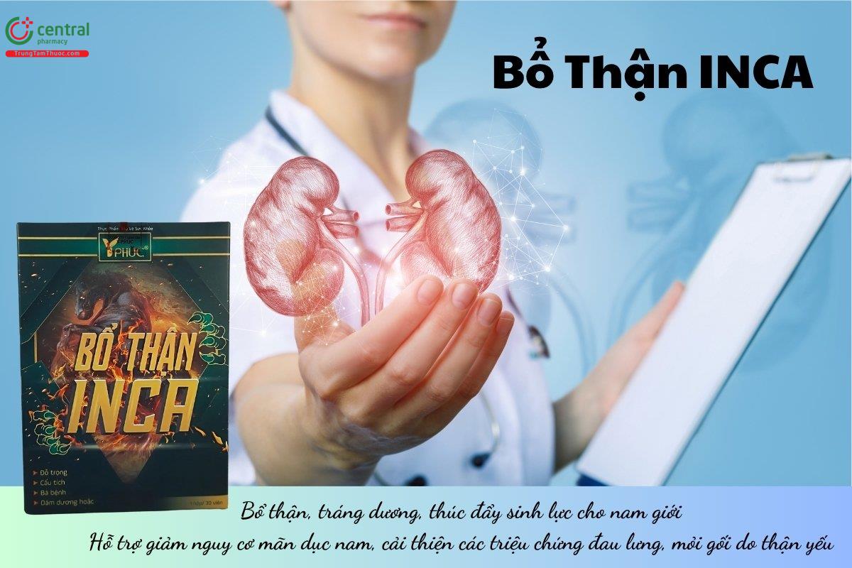 ​  Bổ Thận INCA  ​