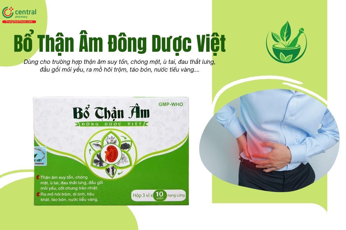 Thuốc Bổ Thận Âm Đông Dược Việt trị thận âm suy tổn, đau lưng mỏi gối