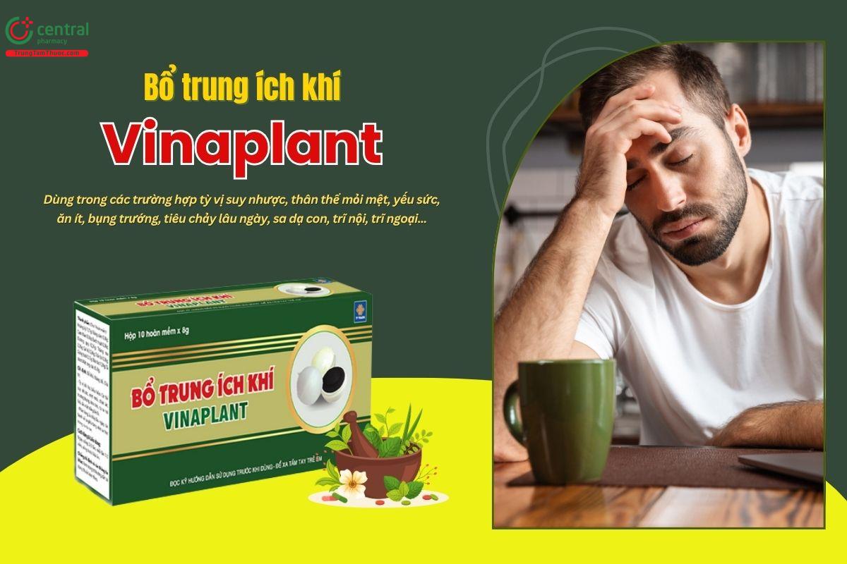 Thuốc Bổ Trung Ích Khí Vinaplant trị tỳ vị suy nhược, cơ thể mỏi mệt