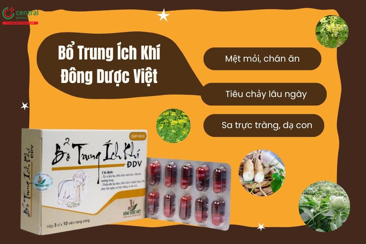 Thuốc Bổ Trung Ích Khí Đông Dược Việt bổ tỳ vị, giảm tiêu chảy lâu ngày