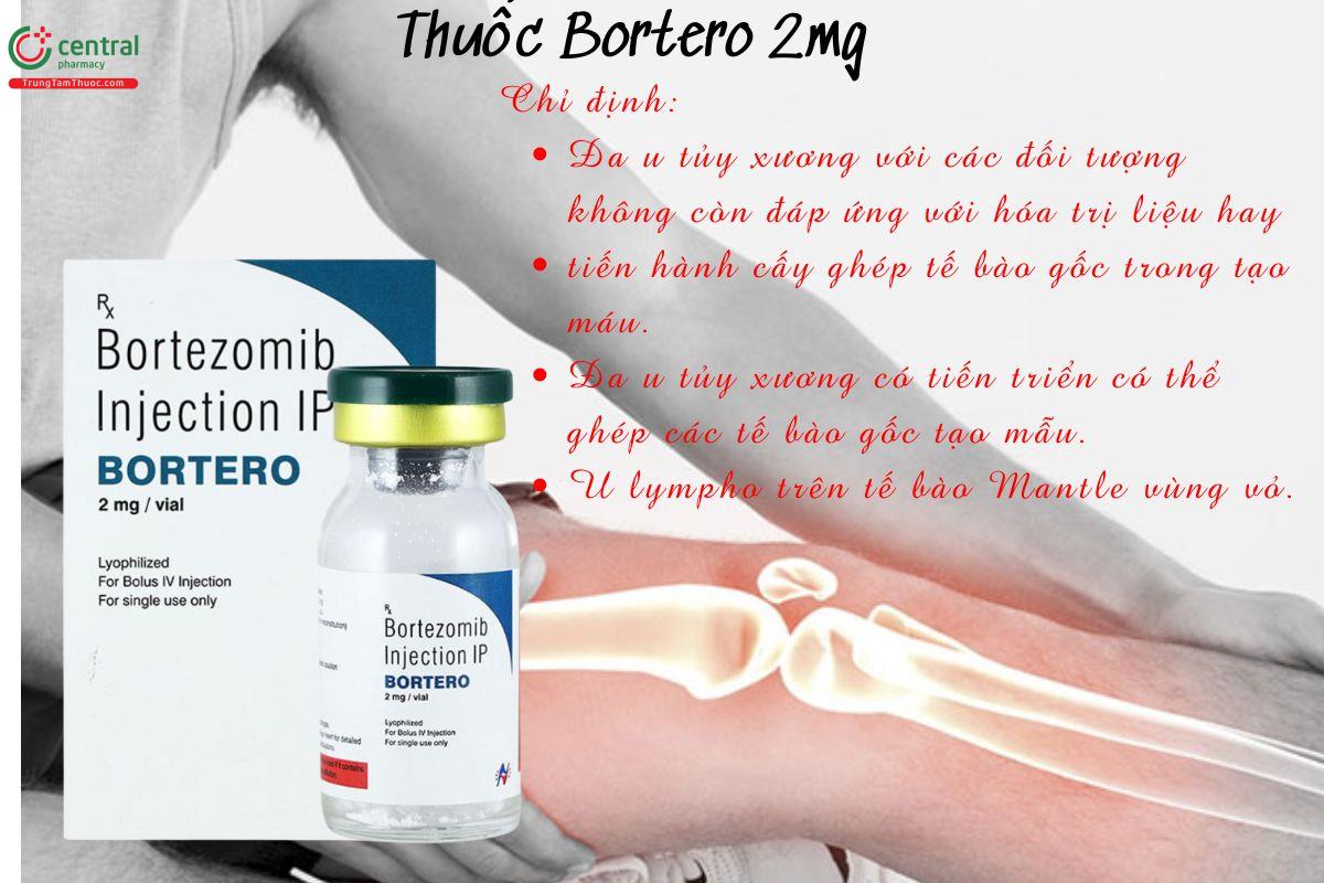 Chỉ định của thuốc Bortero 2mg