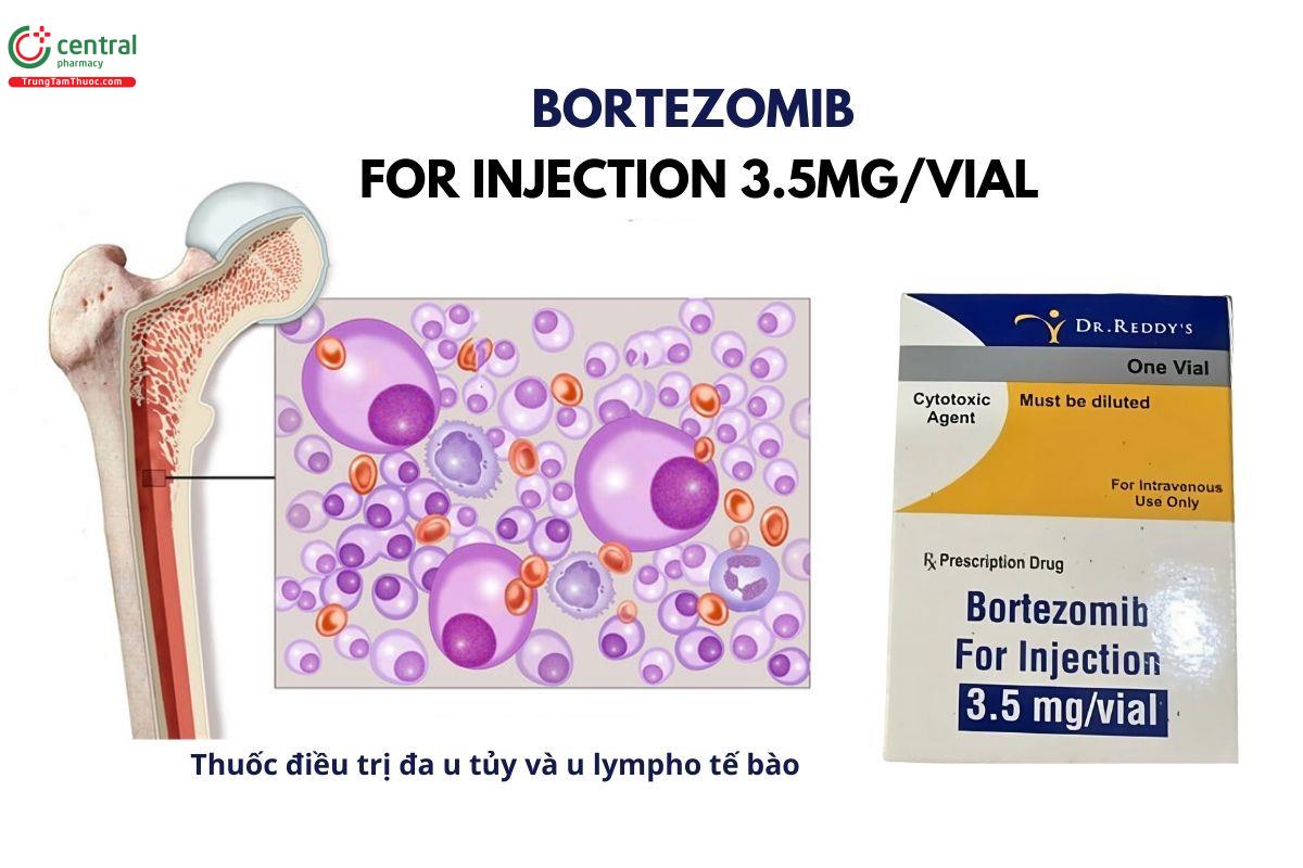 Thuốc Bortezomib 3.5mg/vial Dr. Reddy's điều trị đa u tủy và u lympho tế bào