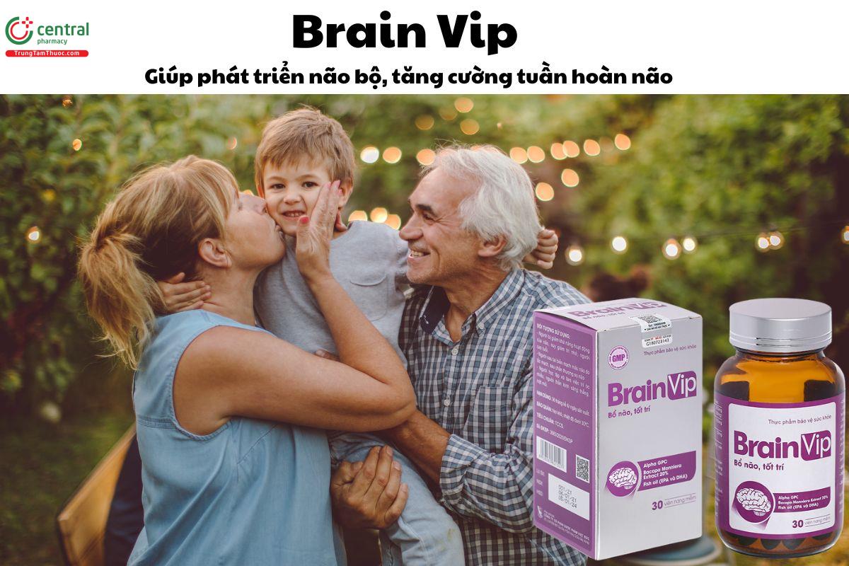 Brain Vip - Giúp phát triển não bộ, tăng cường tuần hoàn não