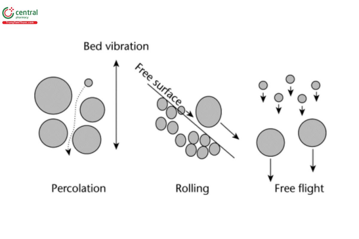 Figure 2. Illustration of the three modes of particle segregation: percolation, rolling, and free flight.