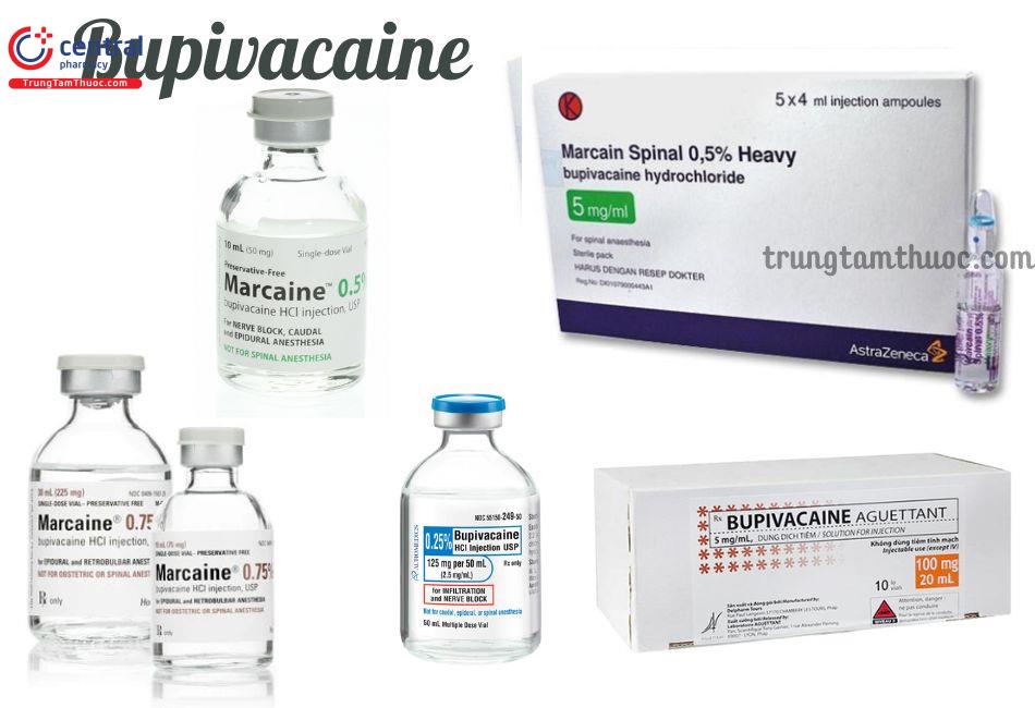 Các chế phẩm chứa Bupivacaine